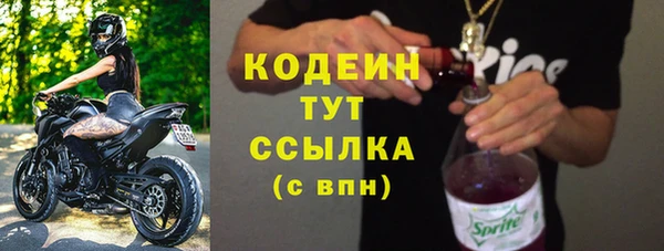 прущий лед Инта