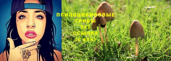 дживик Инсар