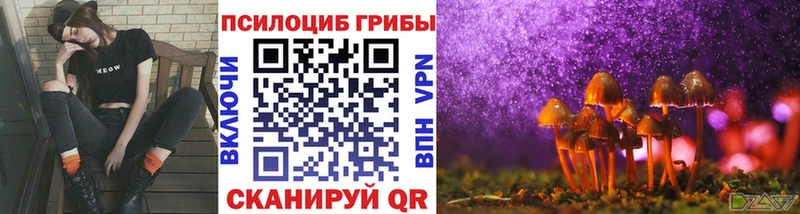ОМГ ОМГ онион  Мезень  Галлюциногенные грибы ЛСД 